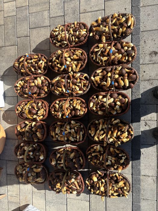 Grzyby podgrzybki na zamówienie