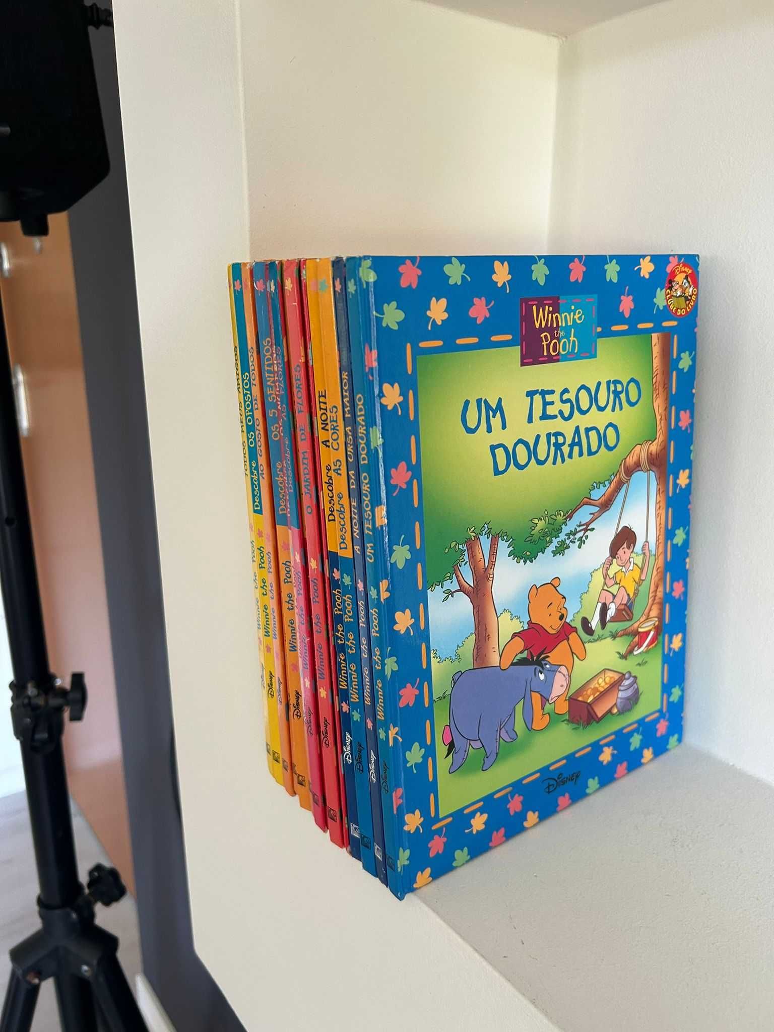coleção winnie the pooh disney