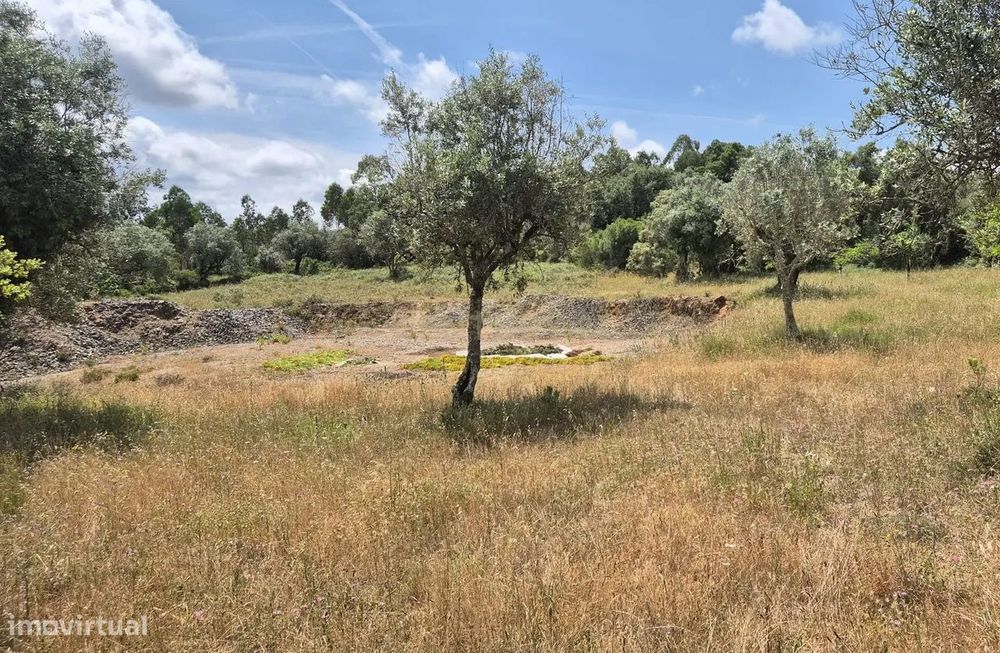 Terreno com 3.610 m² – Potencial e Natureza na Serra de Sicó