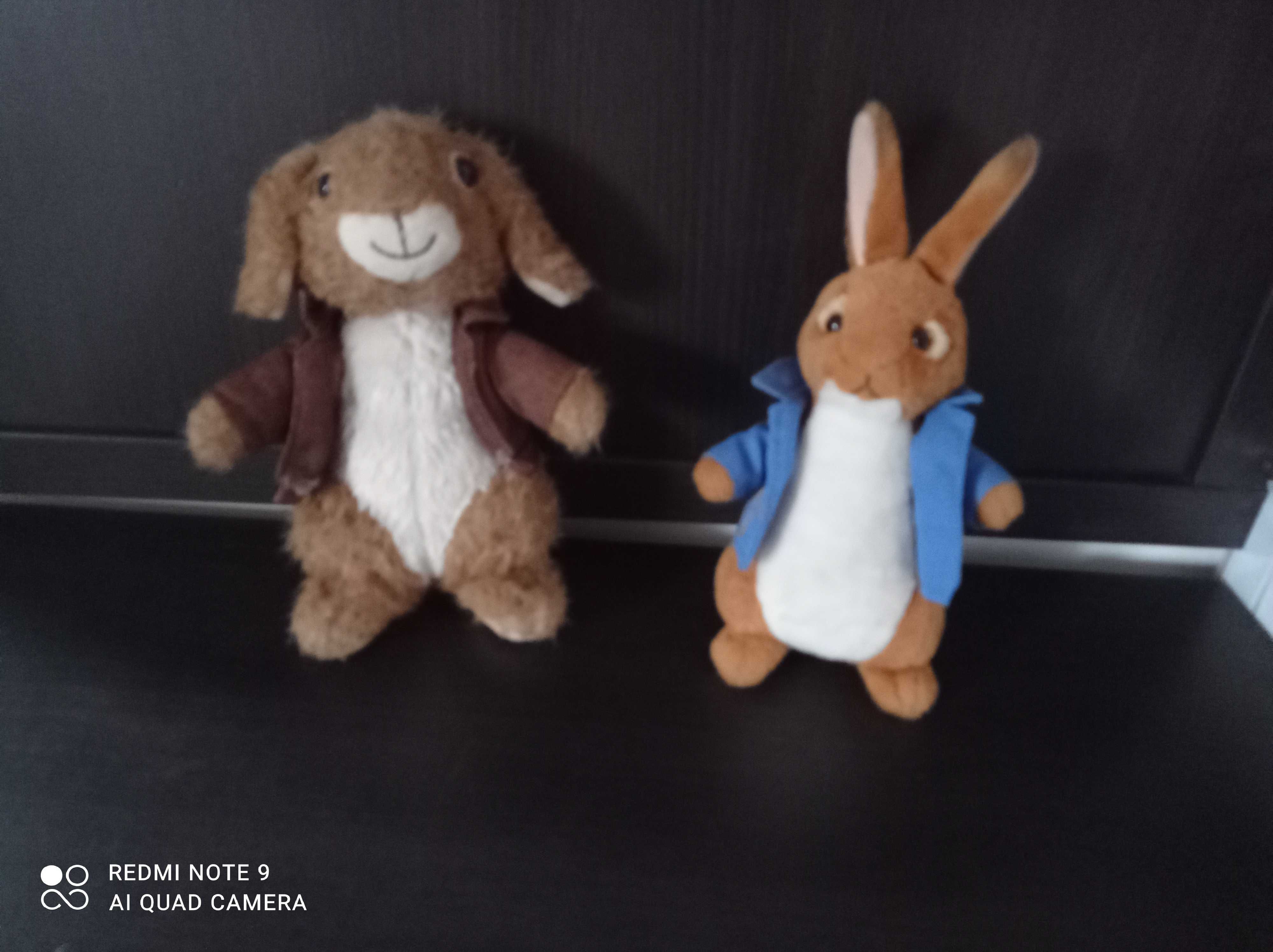 Beatrix Potter Peter Rabbit 2 maskotki - Piotruś i Bendżamin