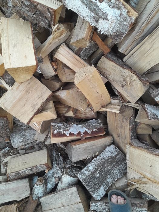 Drewno kominkowe brzoza sucha