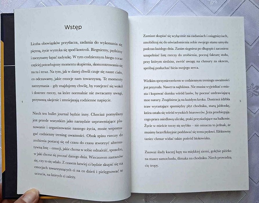 Bullet journal. Planer kreatywny, Różycka Zofia.