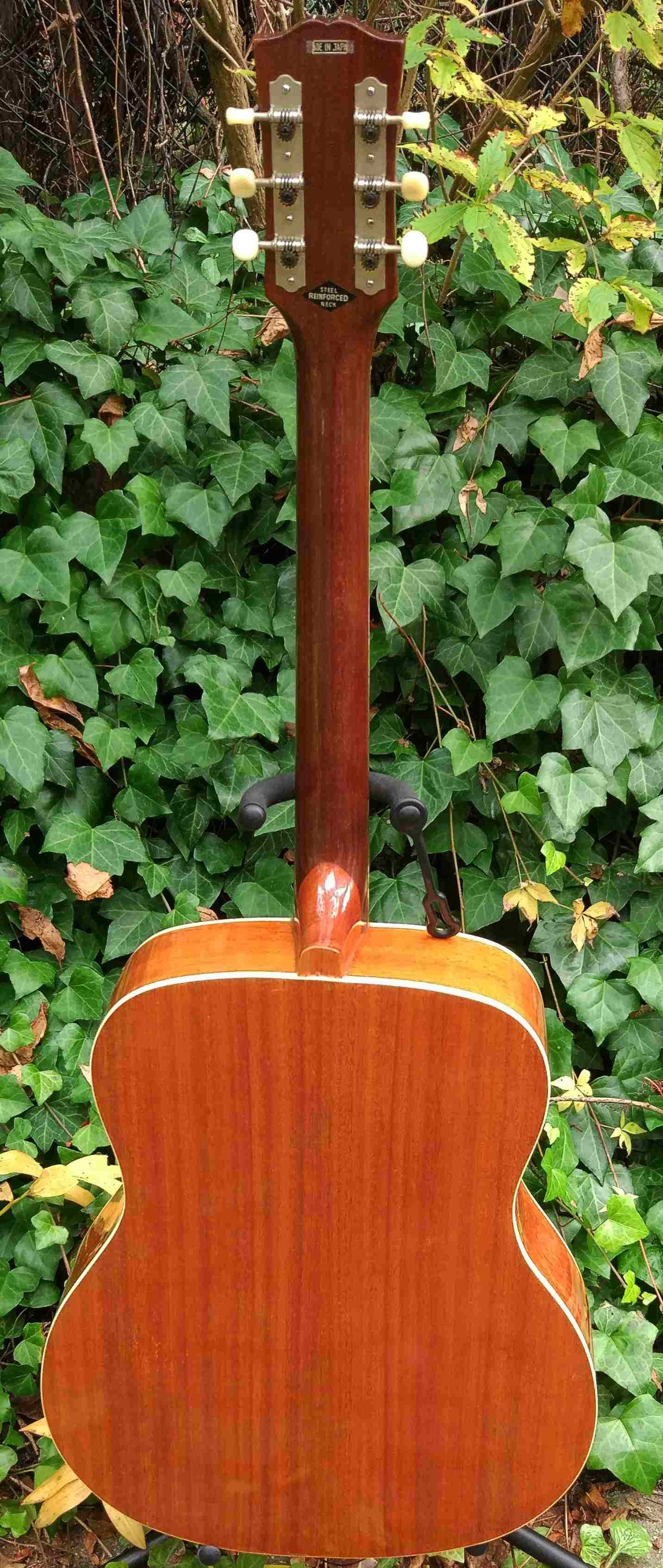 Gitara akustyczna Kor/Sonic- mane in Japan