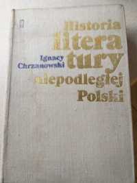 Księga-Historia literatury niepodległej Polski