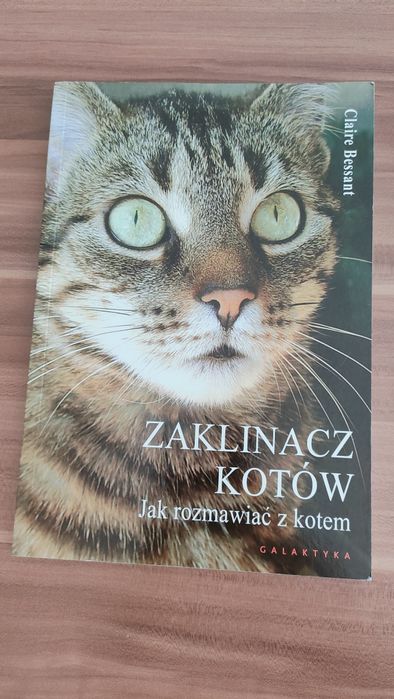 Książka Zaklinacz kotów