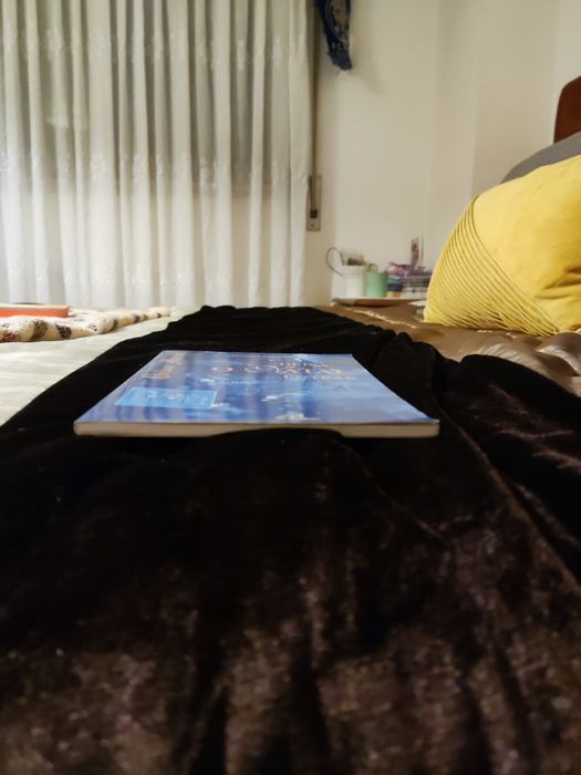 Livro "Deixa o Natal entrar"