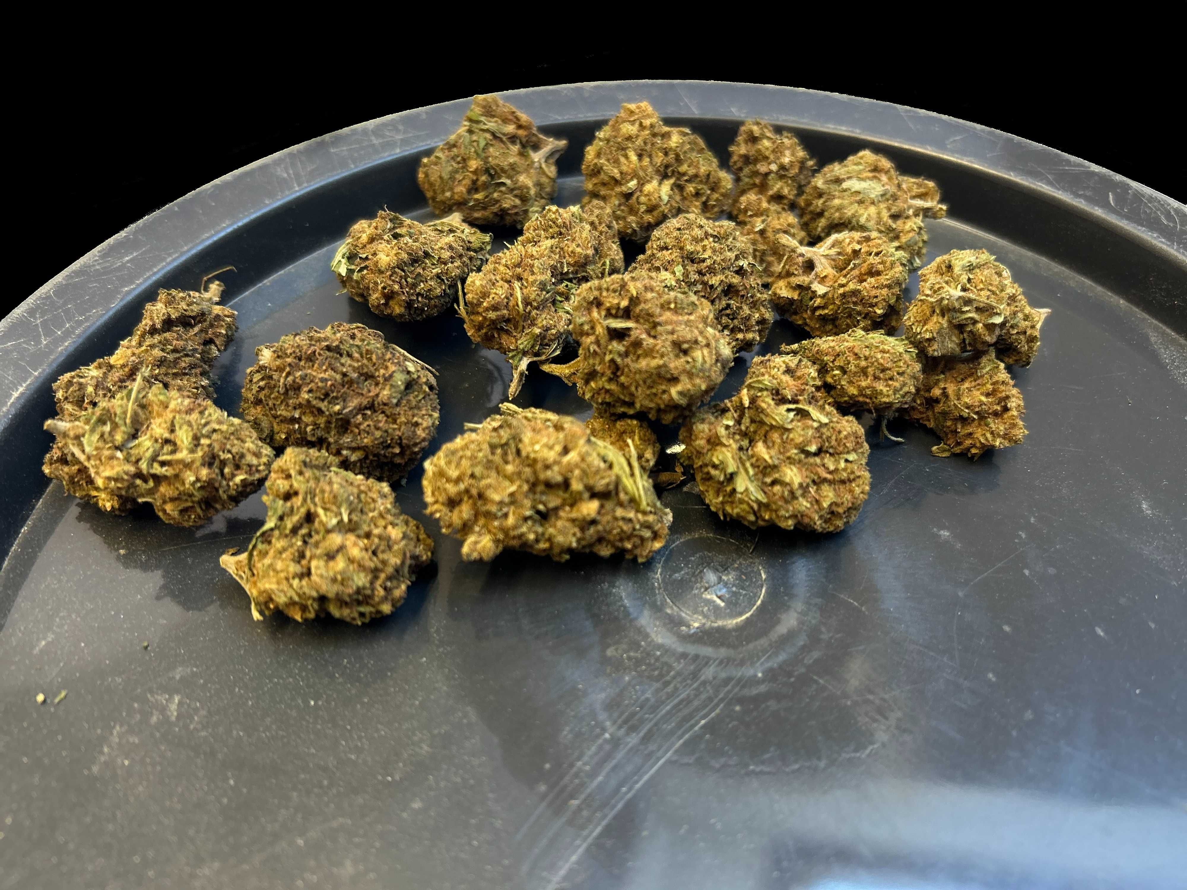 LEMON HAZE CBD 1KG Susz Konopny PREMIUM Naturalny Top Weed Hurt