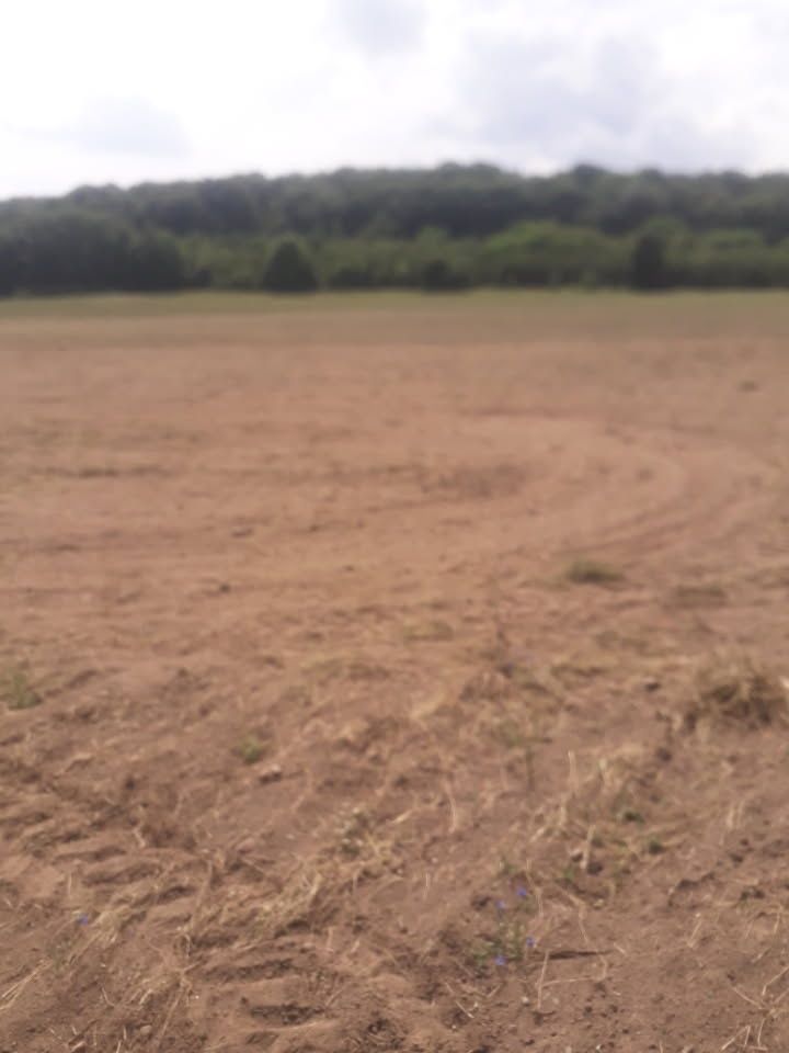 Działka rolna grunt ziemia  15,713 ha
