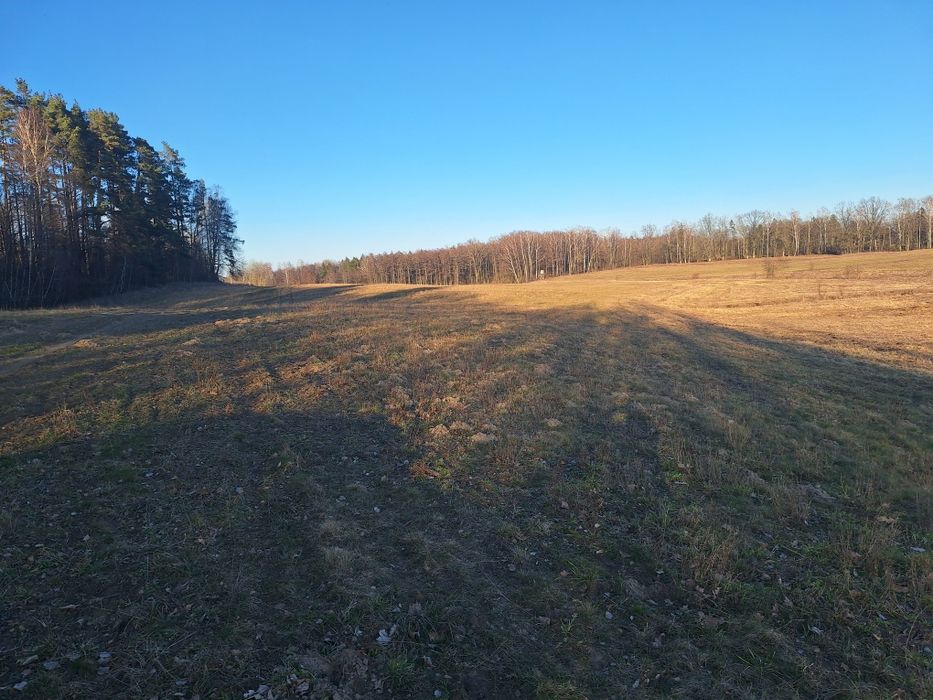 Sprzedam ziemię rolną na Mazurach .