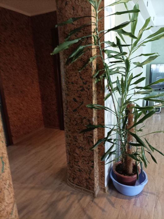 Продам 3 к. квартиру,  Центр