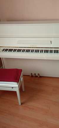 Белое пианино, три педали Scholze (Petrof)