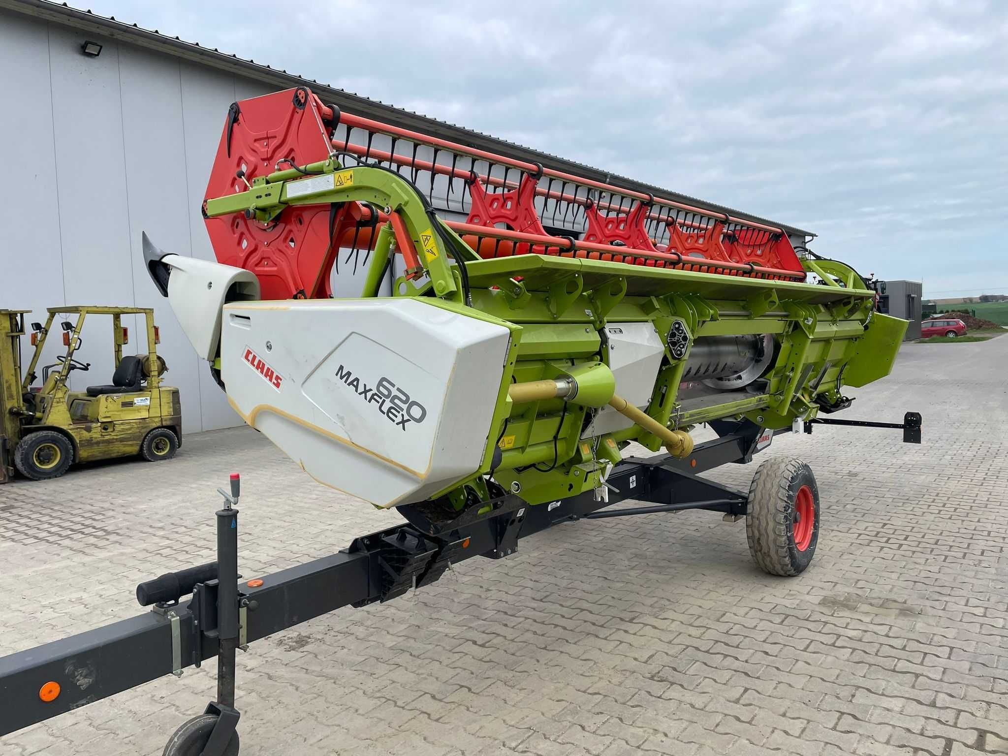 Heder Claas Maxflex 620 do zbioru roślin nisko rosnących