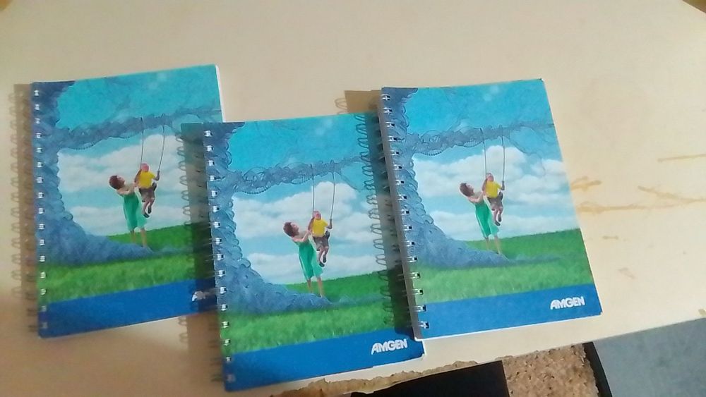 Kit 3 Cadernos A5 Quadriculados com Argolas