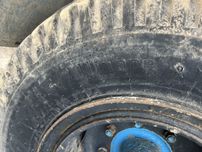 Opona 16r20 aliance