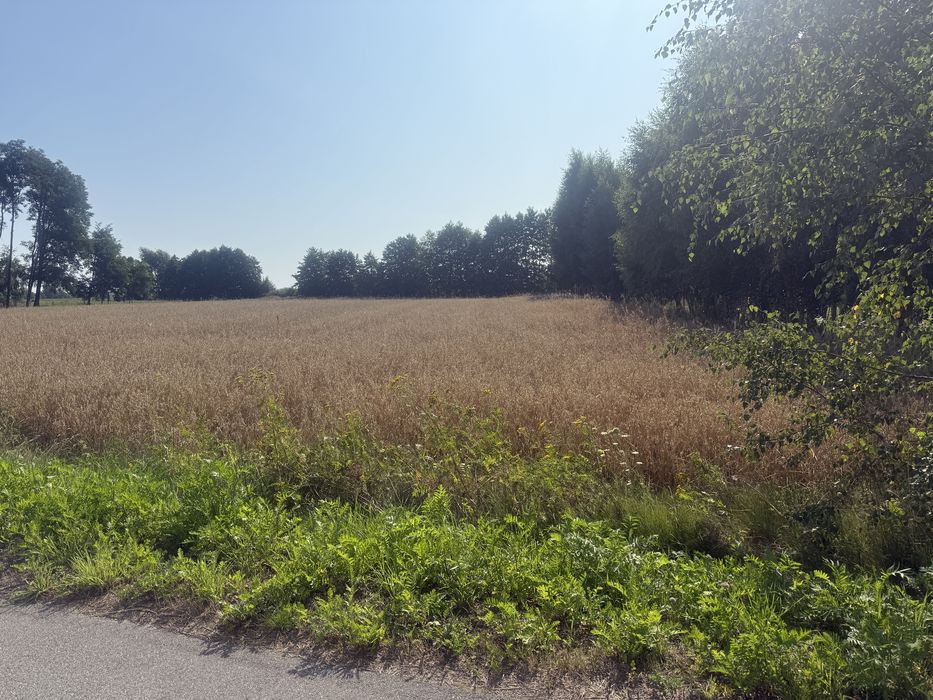 Działka budowlana koło gostynina -kościuszków