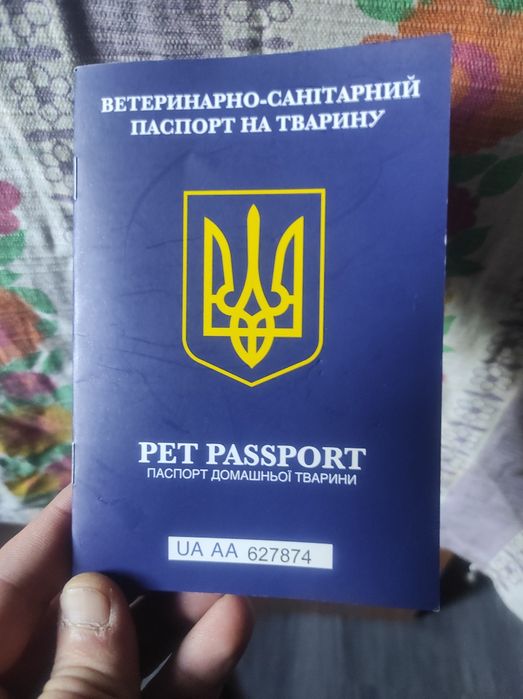 Віддам в добрі руки
