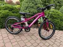 Rower dziecięcy mtb Blackwood 20 rama 11” Shimano 7 biegów aluminiowy