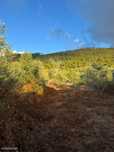 Terreno Urbanizável com 600 m² – Alqueidão da Serra | Perto de Fáti...