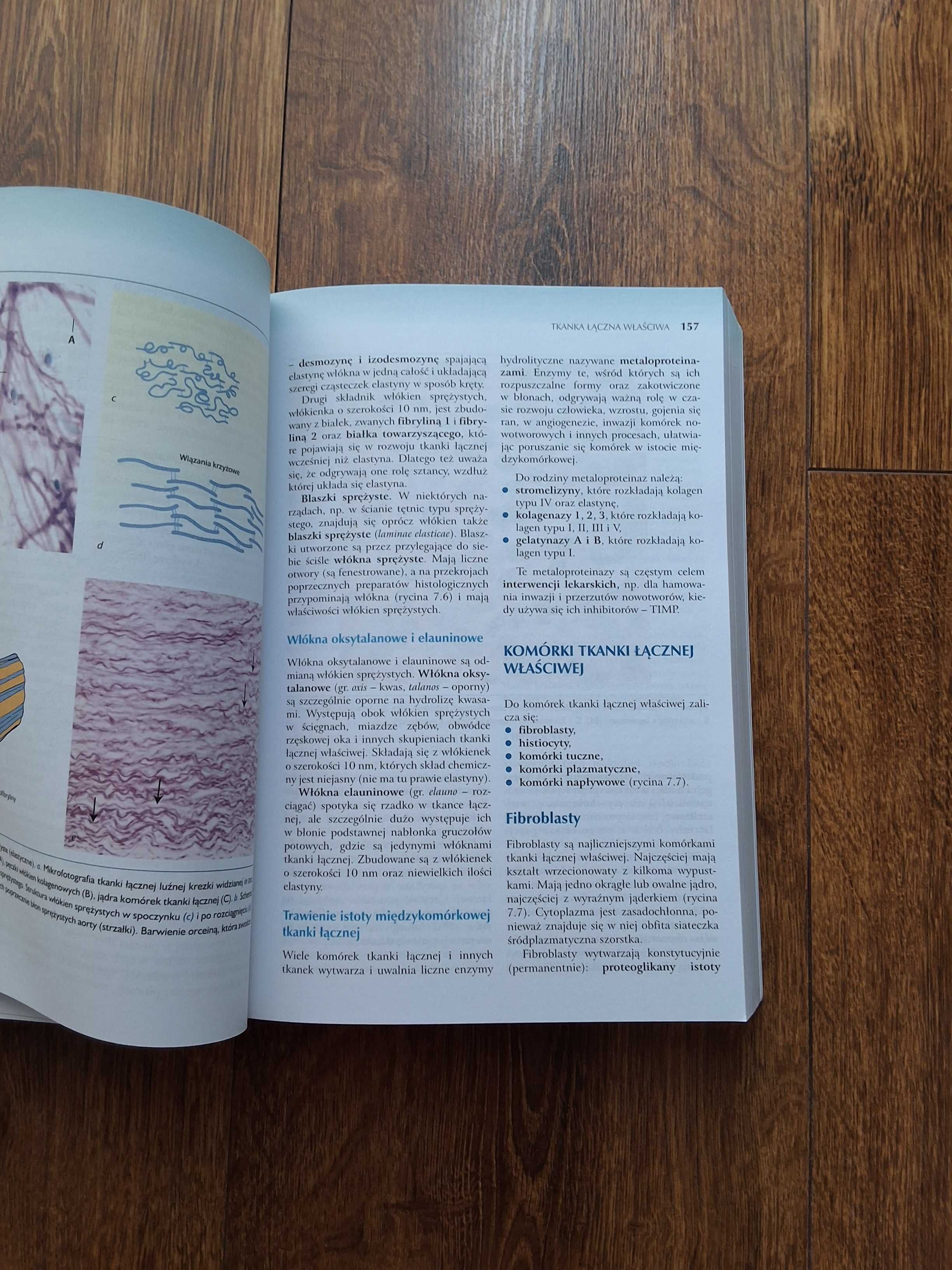 Histologia Sawicki