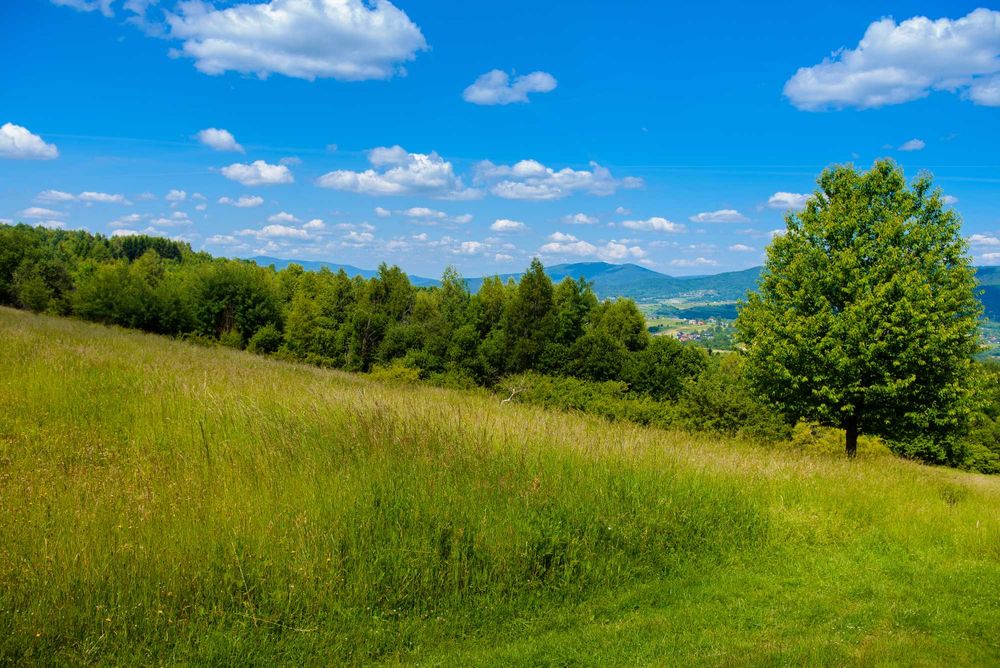 Gilowice – widokowa działka 2128 m² w Beskidzie Żywieckim