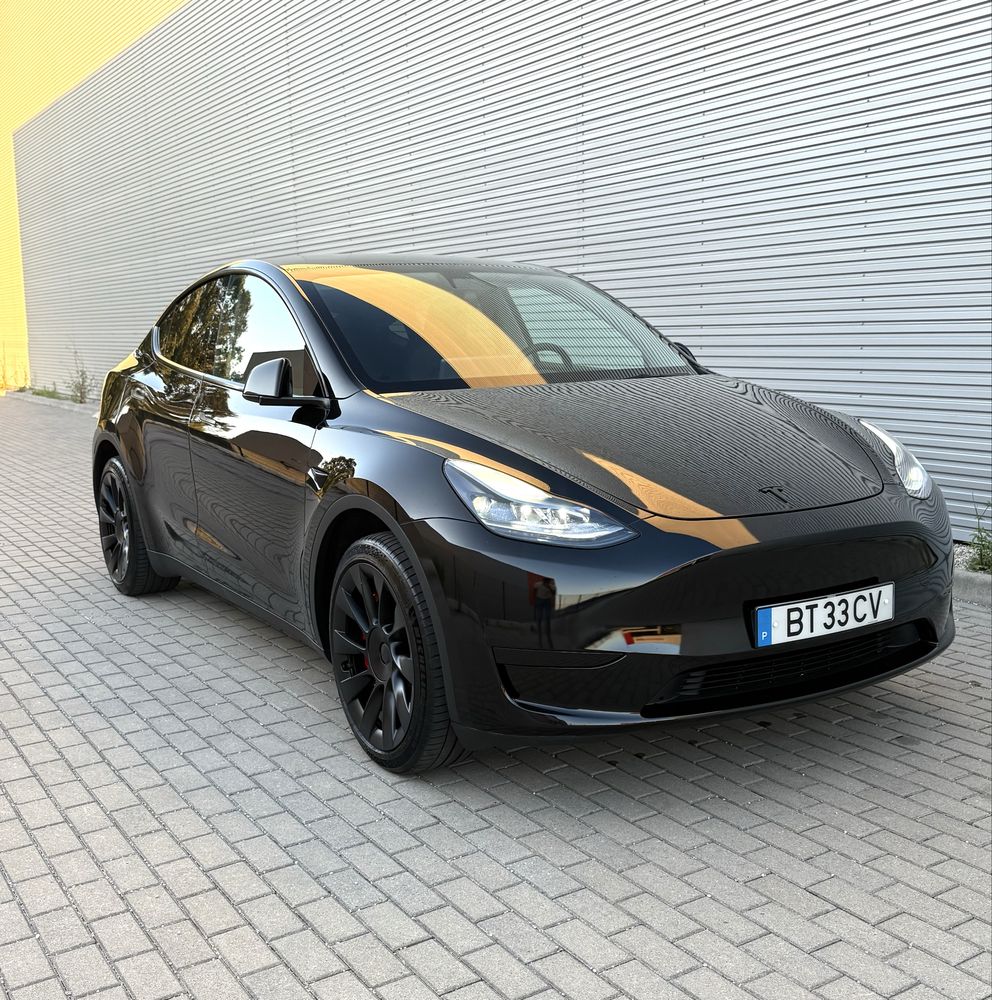 Tesla Model Y RWD