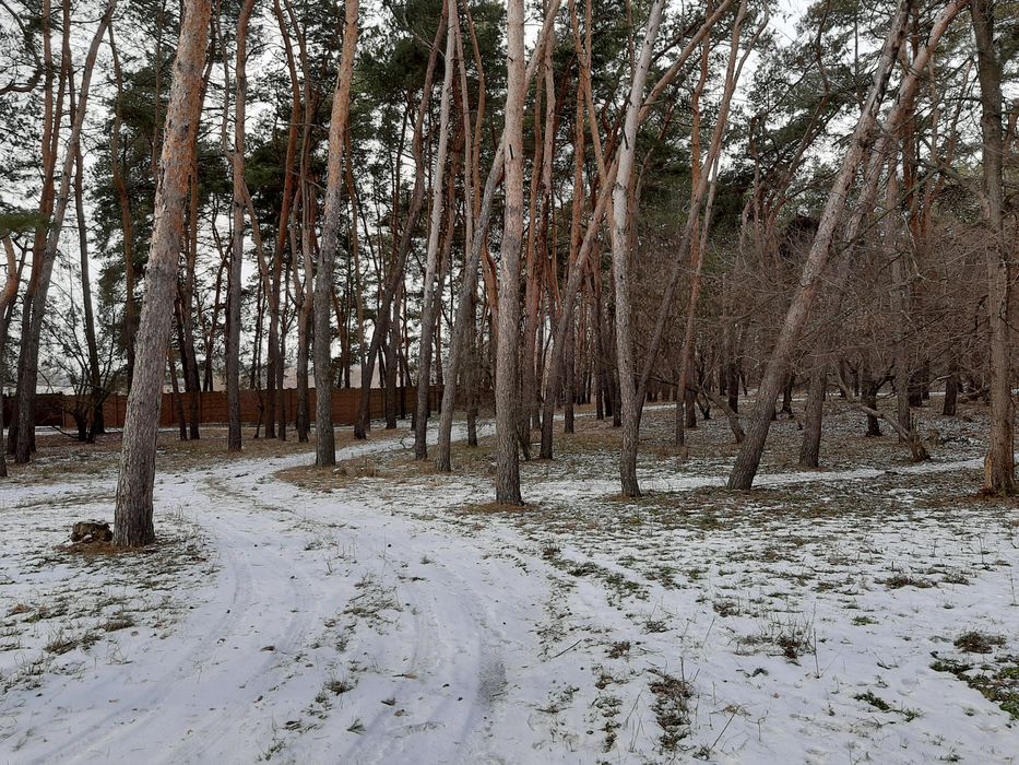 Продам новый дом в Безруках за Дергачами  рядом с сосновым бором