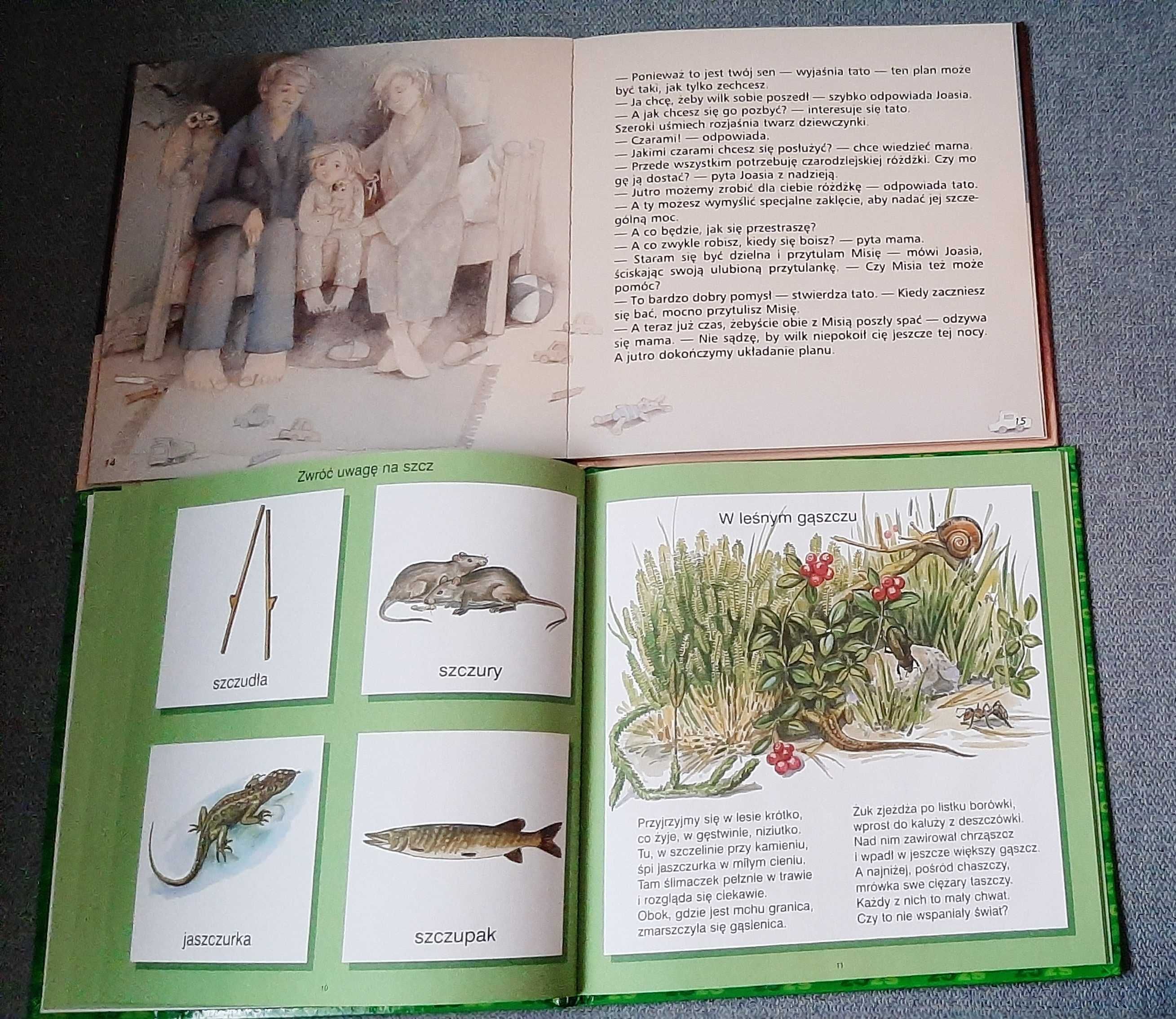 Joasia i wilk Ted Lobby lęk u dzieci W leśnym gąszczu logopedia Pluto