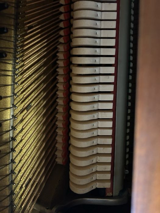 Szwedzkie pianino Malmsjo