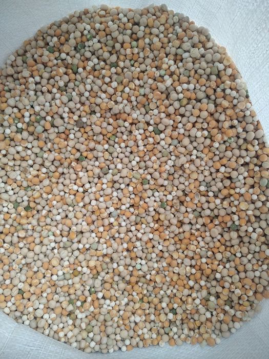 Горох цілий для голубів
