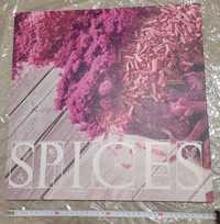 Obraz Spices 40x40 cm
