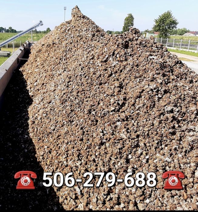 Obornik kurzy kurzak pomiot kurzy transport