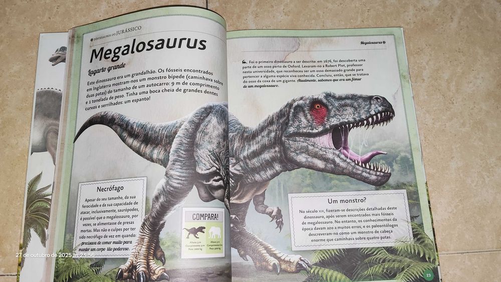 O magnífico livro dos dinossauros