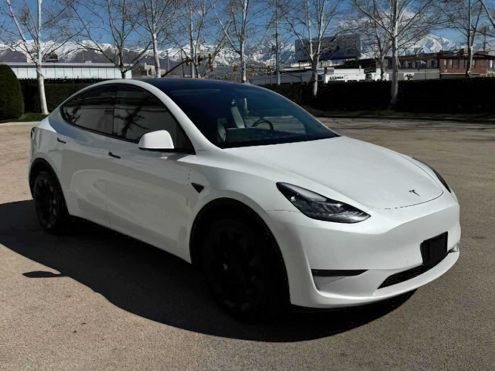 2022 Tesla Model Y Long Range