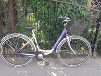 Rower Miejski 28" McKenzie