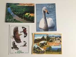 Stare pocztówki, do kolekcji, szlakiem Odry, lekcje w przyrodzie