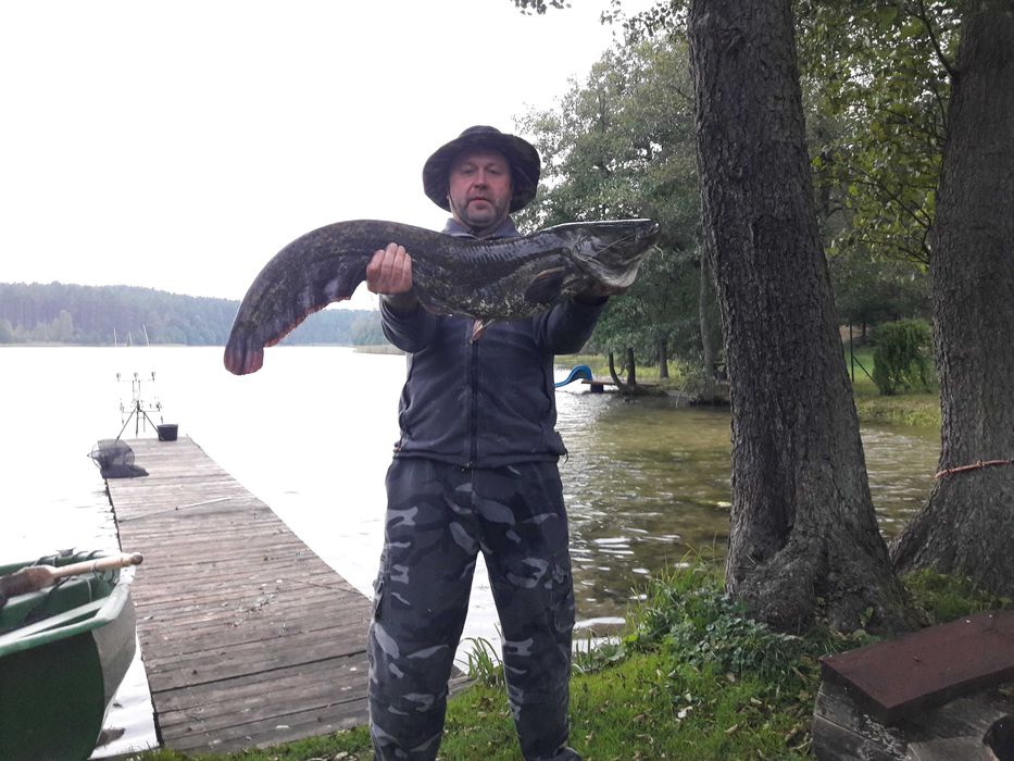 Wynajem domków letniskowych nad jeziorem Kazub  WOLNE TERMINY
