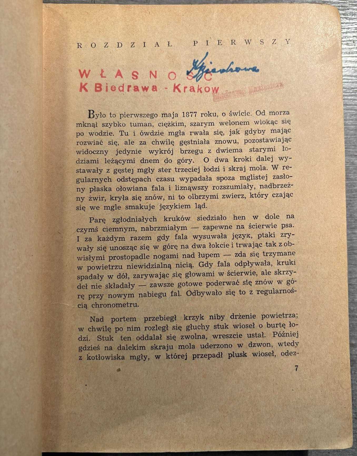 Pelle zwycięzca t. I
