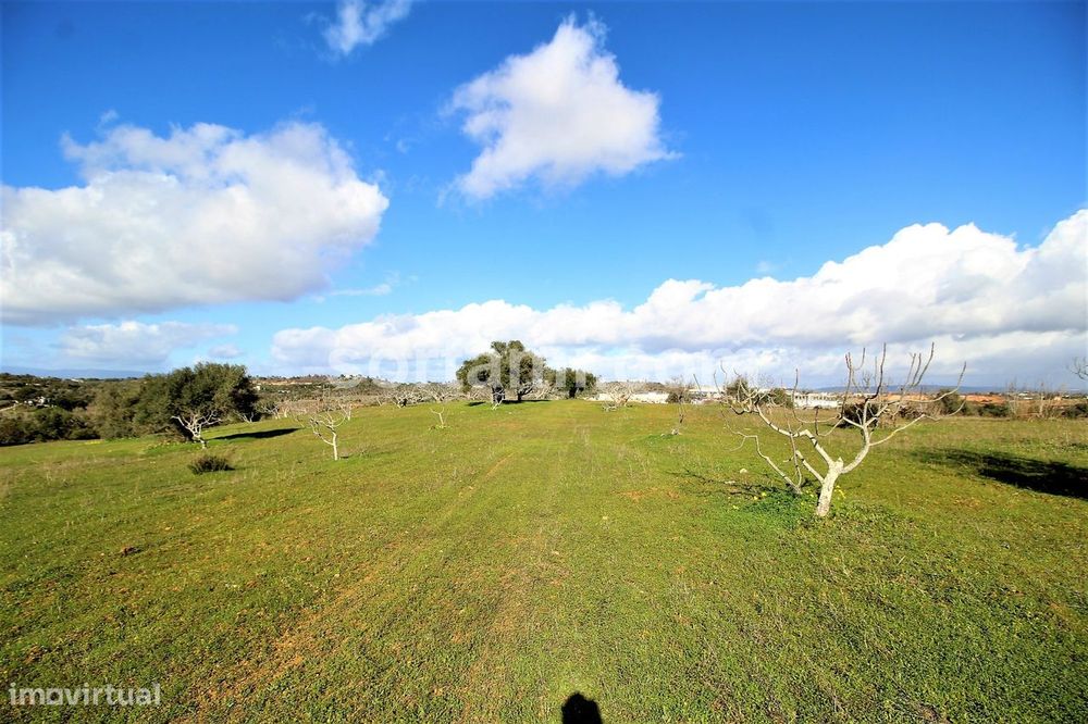 Terreno Rústico  Venda em Algoz e Tunes,Silves