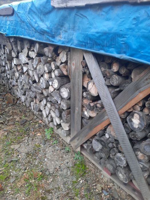 Drewno opałowe sezonowane