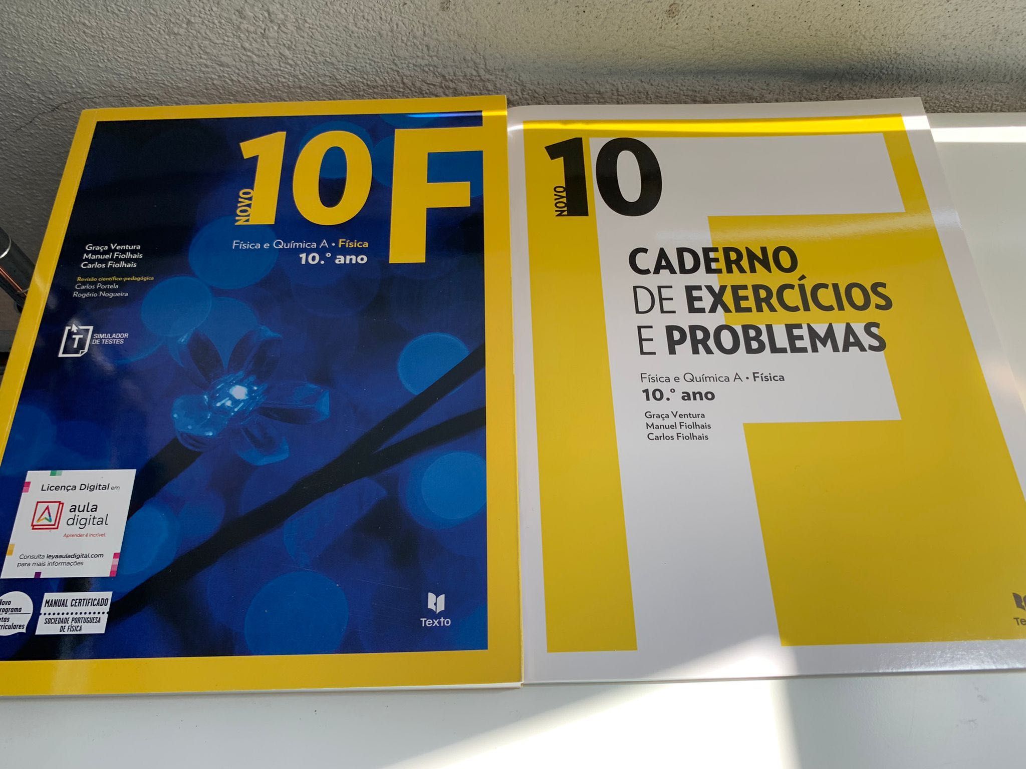 Livro e caderno de atividades de física  A do 10 ano