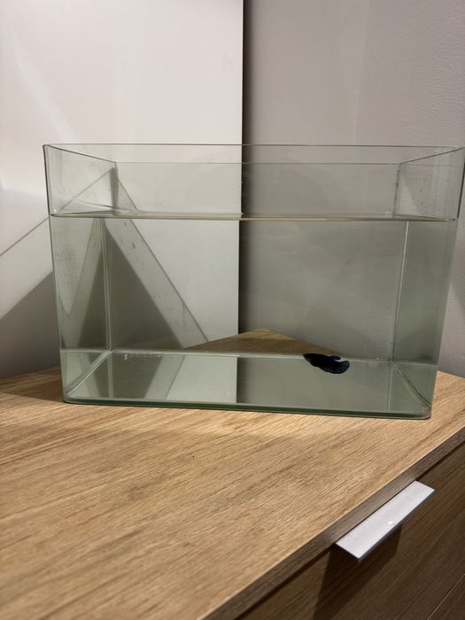 Aquario 15 Litros + filtro + 2 termo e fundo