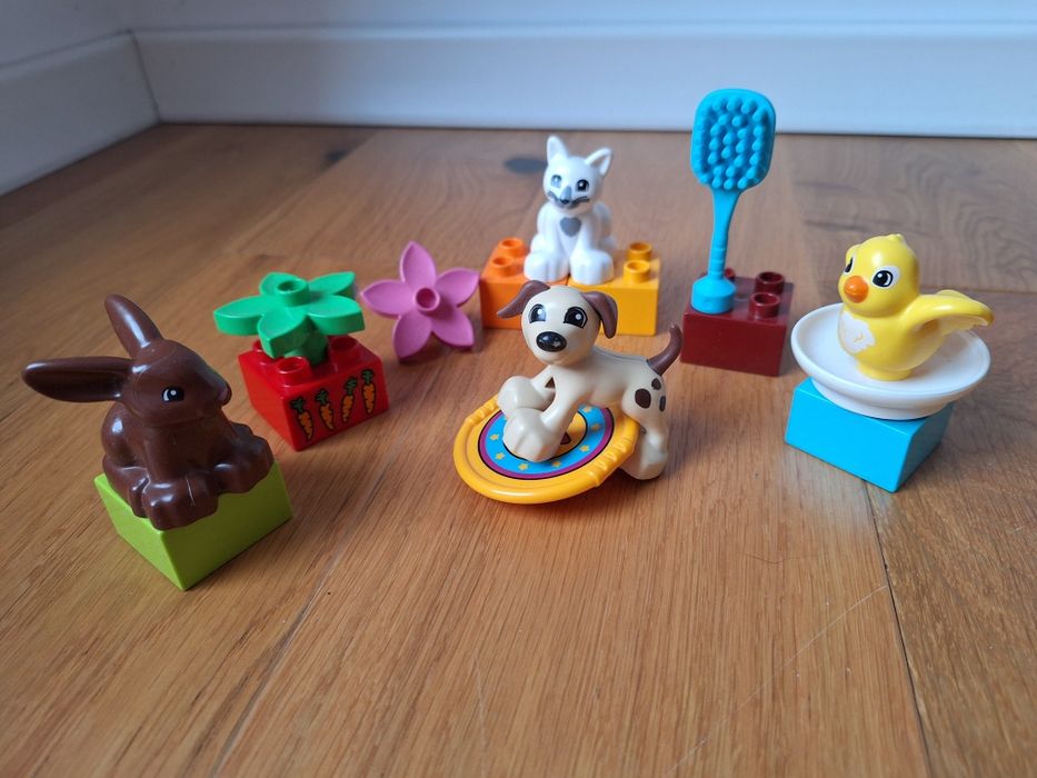 LEGO Duplo Zwierzątka domowe 10838 Zwierzęta domowe