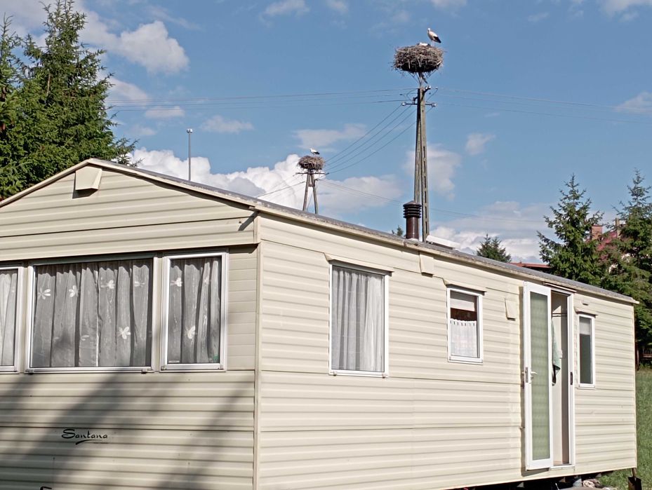 Domek Angielski , Holenderski zgrabny ładny