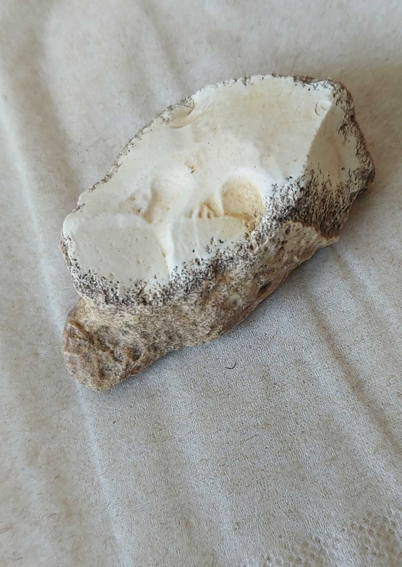 Dendrite Rock, Dendritik rock