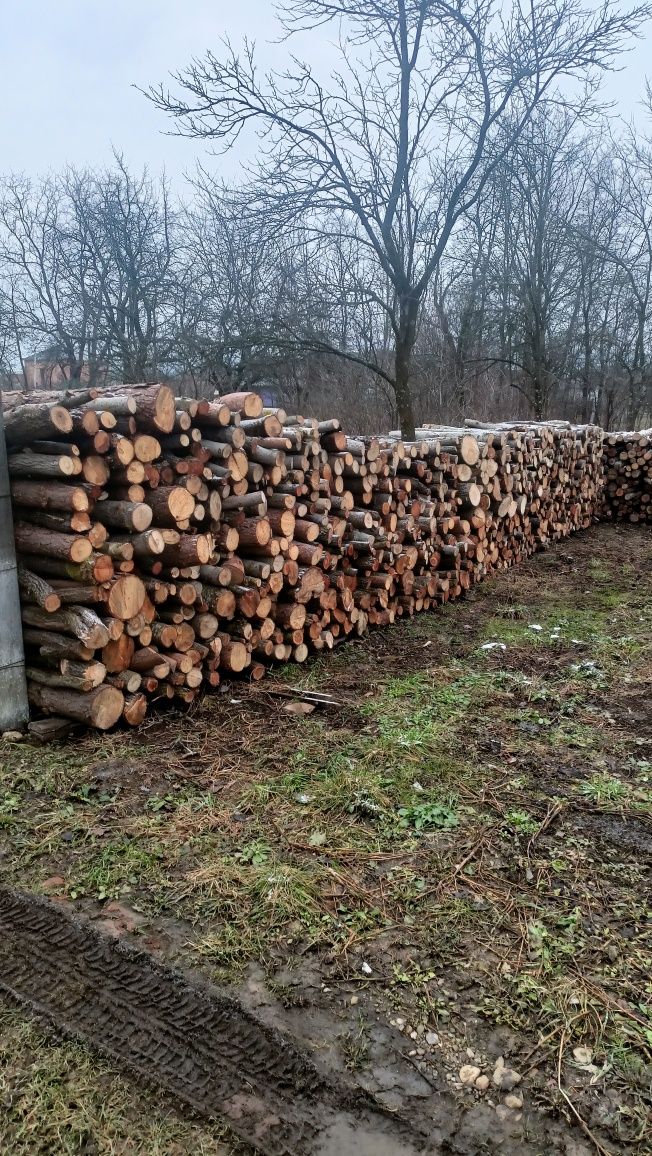 Продам дрова під самовивіз