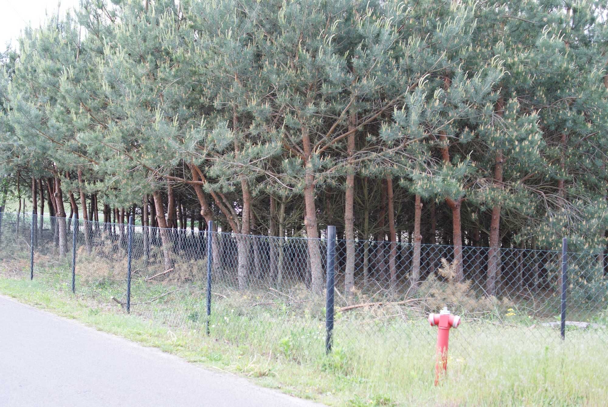 Działka z lasem i stawem