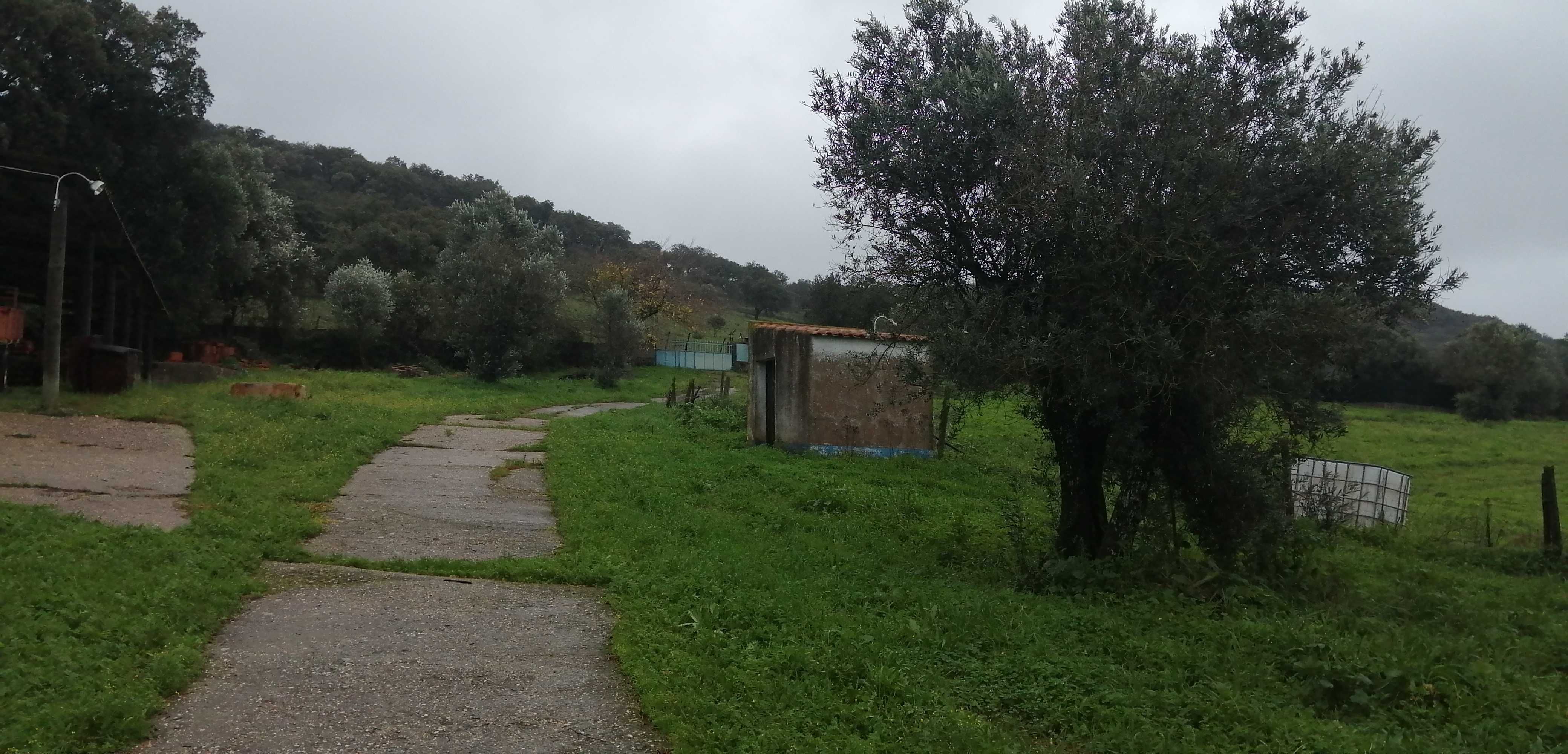 Quinta em Santiago do Escoural