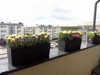 Donica Lamela Begonia technorattan 4 szt