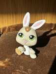 Littlest pet shop lps króliczek