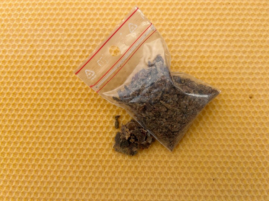 Kit pszczeli propolis
